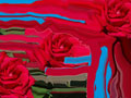 Fluid Roses, color photograph