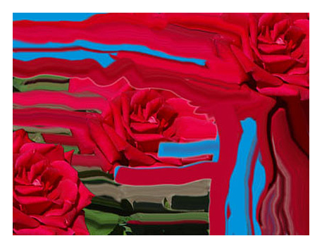 Fluid Roses, color photograph
